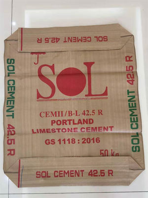 25 KG 40 KG 50 KG PP Bolso de tejido Bolso de cemento Bolso de cemento vacío Bolso de válvula PP