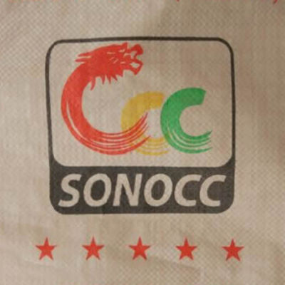 Bolsa de válvula de cemento PP de 50 kg con sellado autoadhesivo